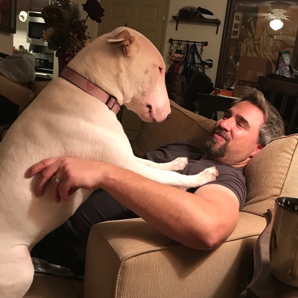 Meet your Posher, Stacie - Picture 5 of 8